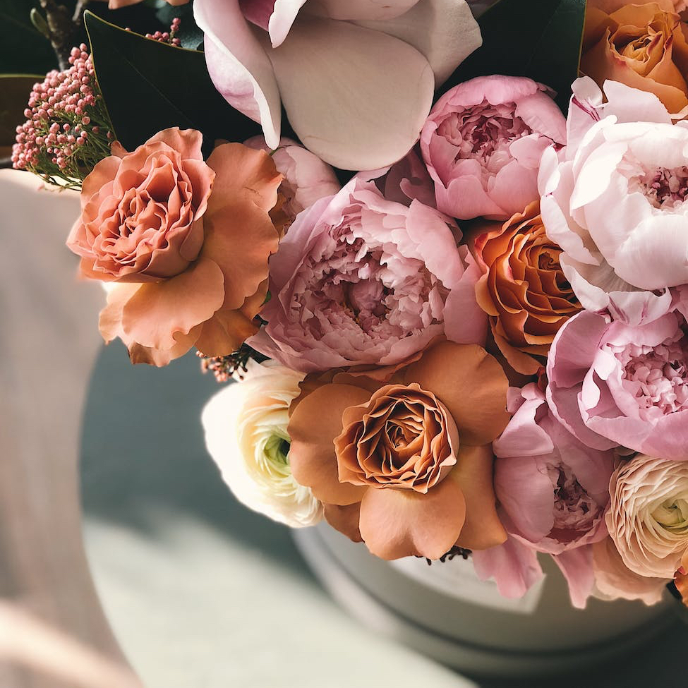 When Your Good Bra Breaks: 